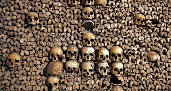 Catacombs Guided Tour in Paris